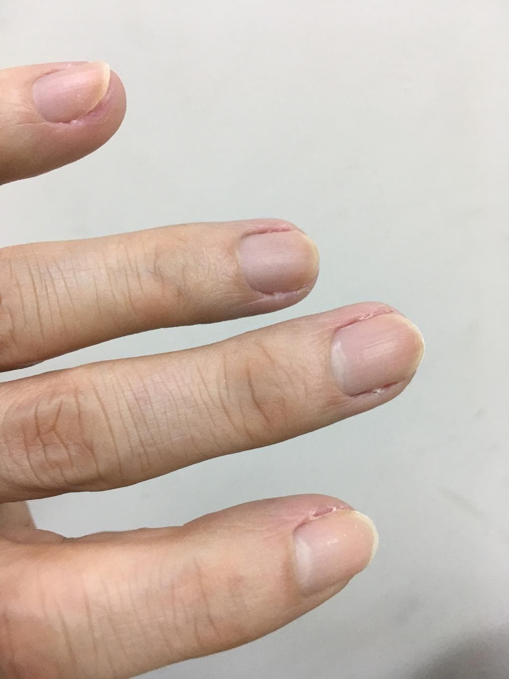レビュー投稿画像