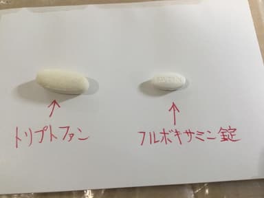 [ルボックスジェネリック]ファベリン100mg 【1箱30錠】 レビュー投稿画像 サムネイル