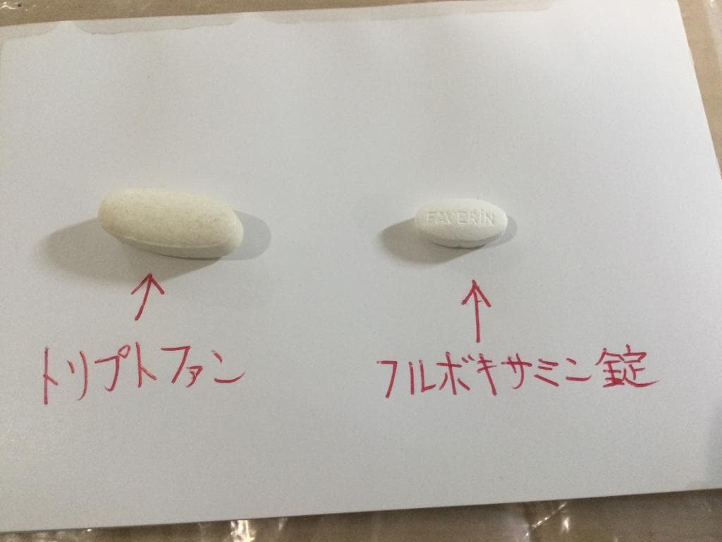 レビュー投稿画像