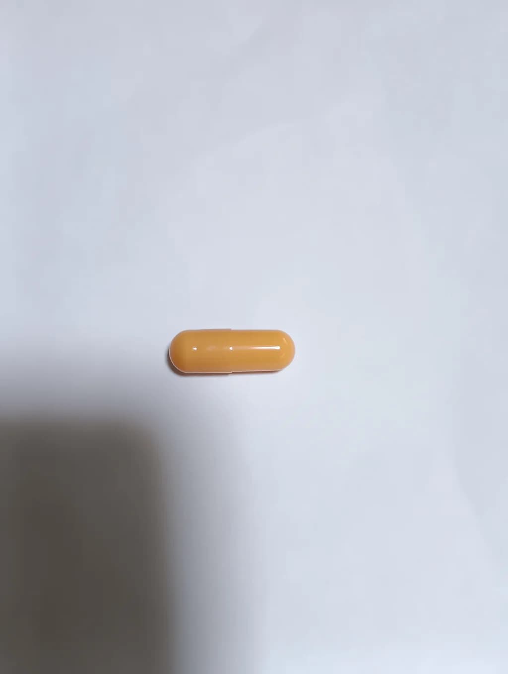 レビュー投稿画像