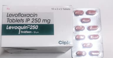 [クラビットジェネリック]レボクイン250mg 【1箱100錠】 レビュー投稿画像 サムネイル