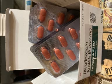 [クラビットジェネリック]レボクイン250mg 【1箱100錠】 レビュー投稿画像 サムネイル