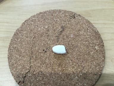 [フォシーガジェネリック]ダパリグ10mg 【1箱28錠】 レビュー投稿画像 サムネイル