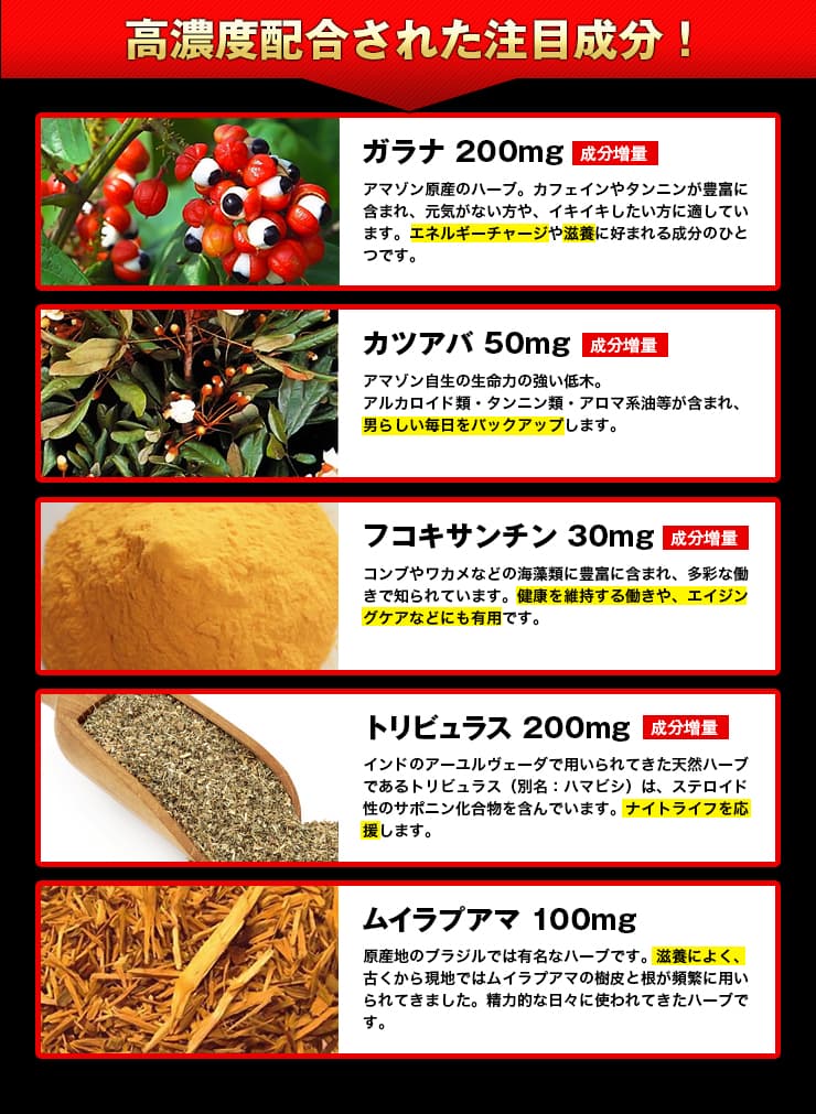 高濃度配合された注目成分!