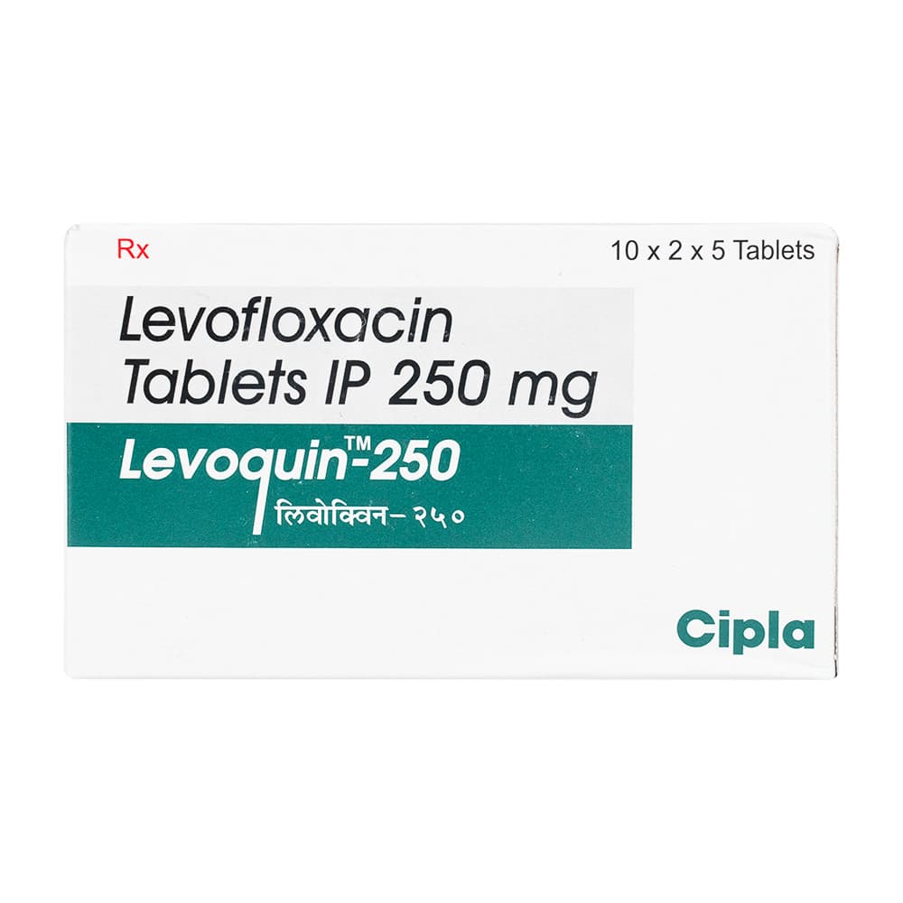 [クラビットジェネリック]レボクイン250mg 【1箱100錠】
