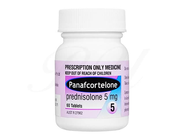 [プレドニン同成分]パナフコルテロン5mg 【1本60錠】