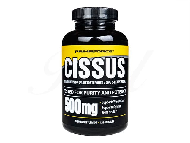 [PRIMAFORCE]シッサス500mg 【1本120カプセル】