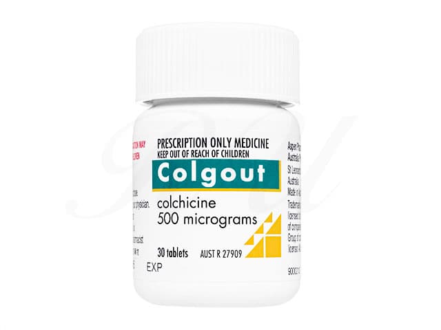 ゴウルグアウト500mcg 【1本30錠】