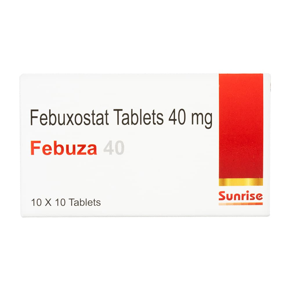 [フェブリクジェネリック]フェブザ40mg 【1箱100錠】
