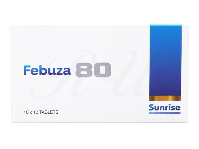 [フェブリクジェネリック]フェブザ80mg 【1箱100錠】