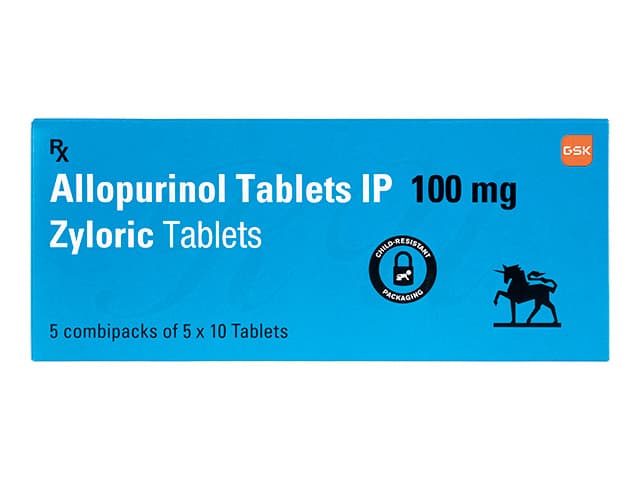 ザイロリック100mg 【1箱250錠】