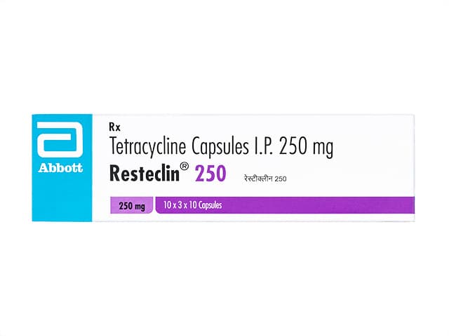 レステクリン250mg 【1箱300カプセル】