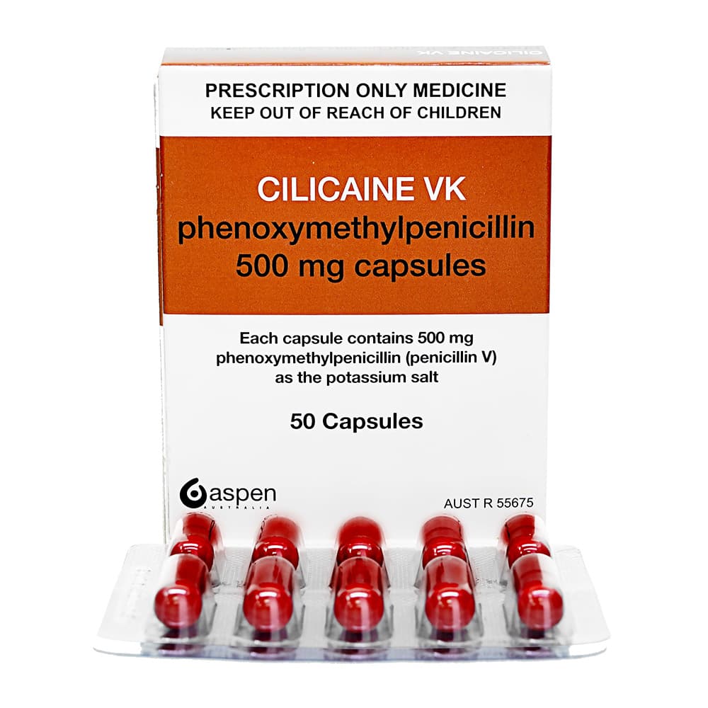 シリカインVK500mg 【1箱50錠】